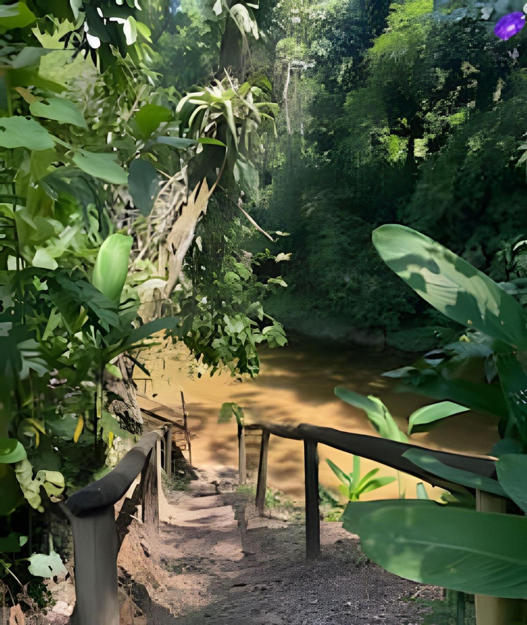 Refugio Natural Em Paraty Exteriör bild